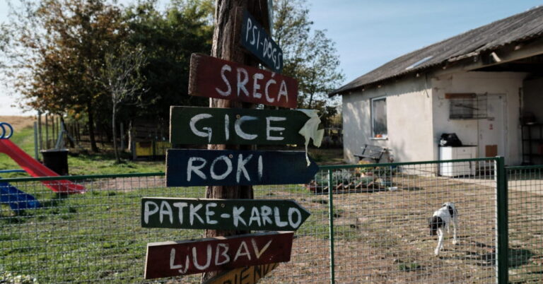 Pročitajte više o članku Bila je ovo luda i teška godina, ali najbolje se sjećamo avanture zvane košnja Farmice