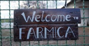 Kravo, svinjo, magarče… Hey, pa ne može to tako – složni su svi stanovnici Farmice