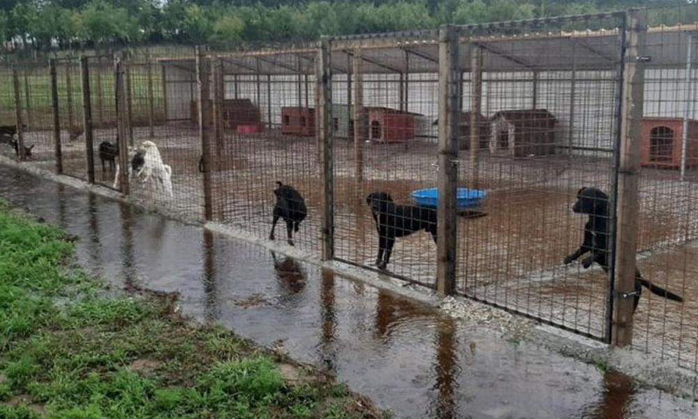 project-farmica-img-3