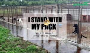 Projekt Farmica 2021