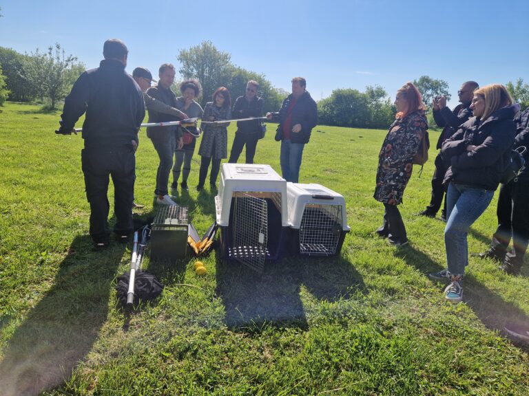 Pročitajte više o članku Radionica, Dumovec