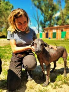 The Dog Who Changed My Life