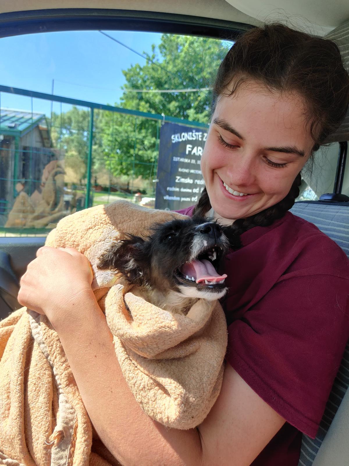 Read more about the article Bringing Your Rescue Dog Home