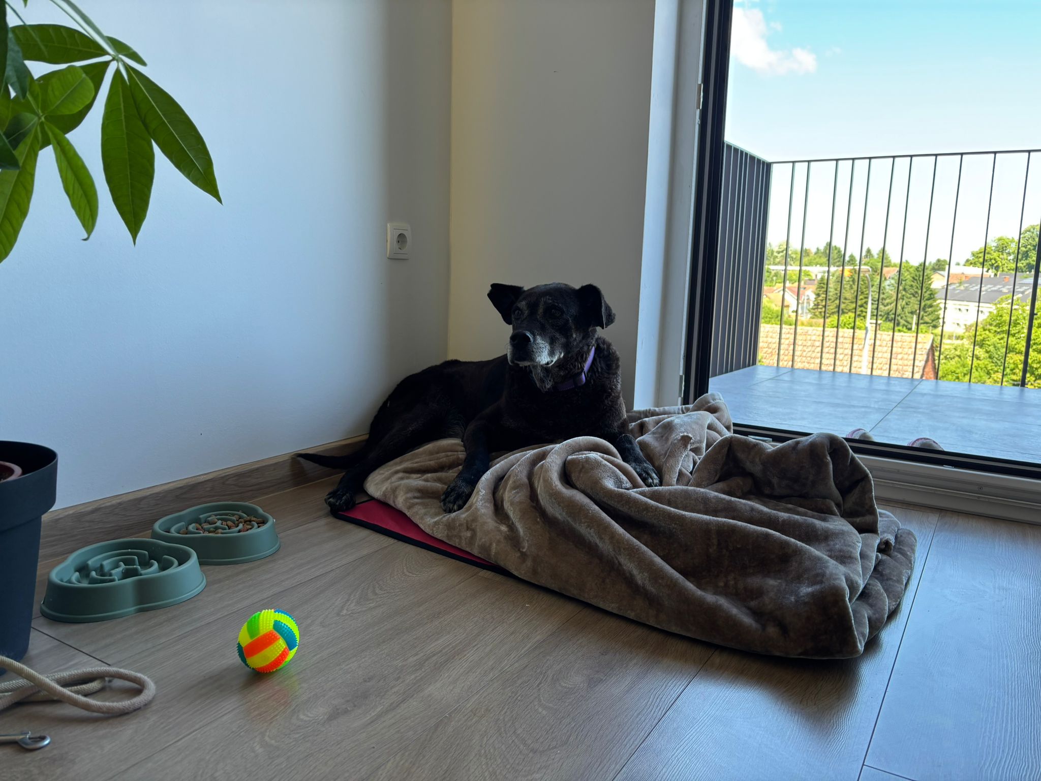 WhatsApp Image 2025-05-25 at 10.26.06