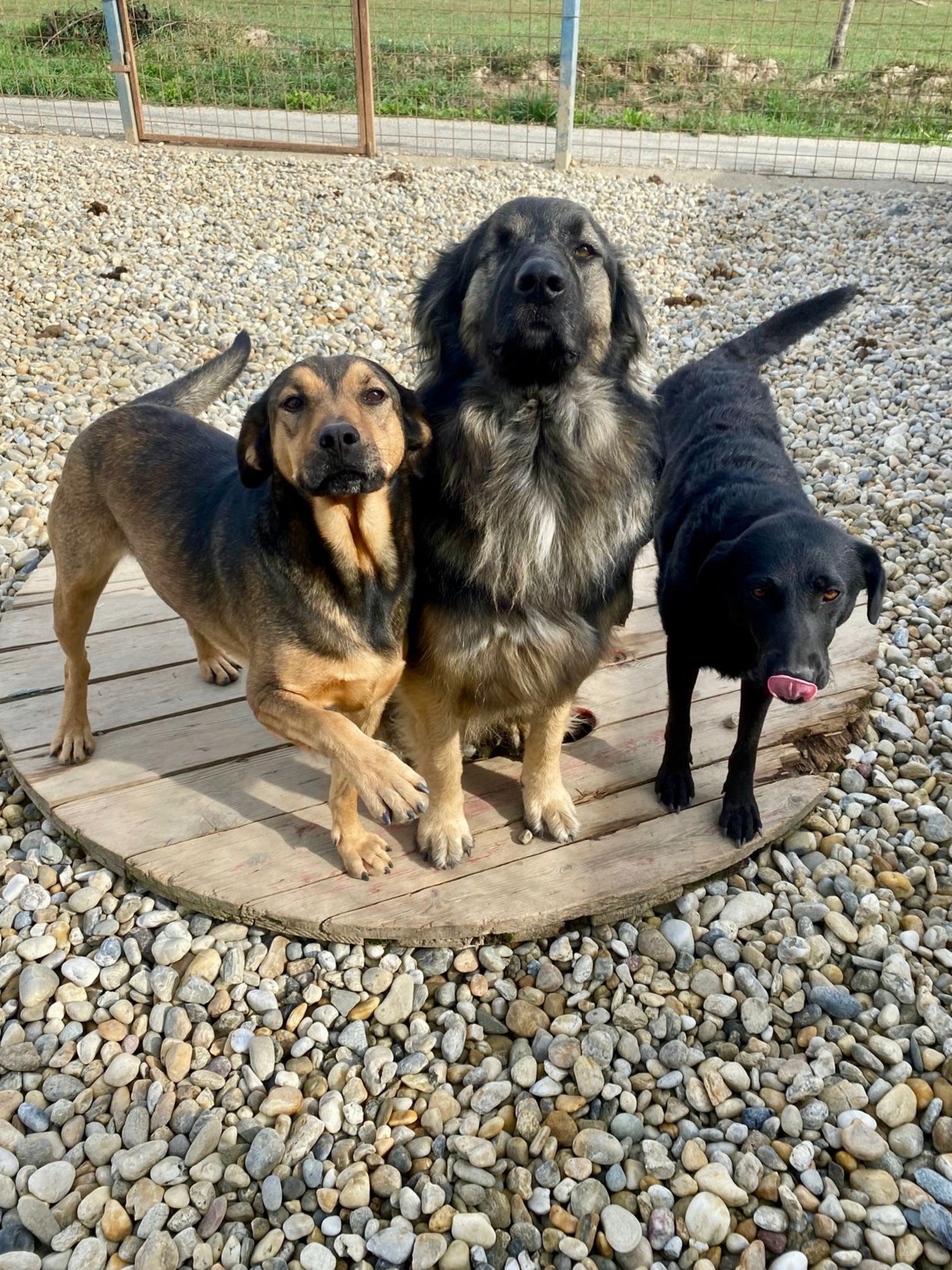 WhatsApp Image 2025-10-20 at 10.54.58