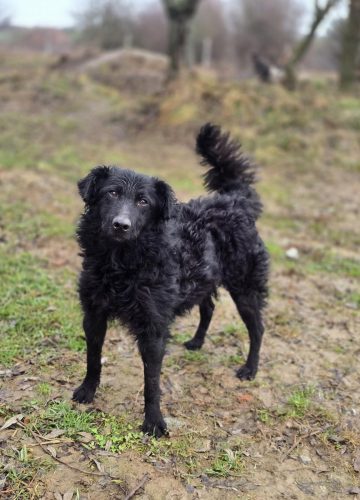 8fade3bb-0fd0-4e24-92fe-226a3957fb3f