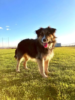 WhatsApp Image 2025-07-02 at 18.09.36