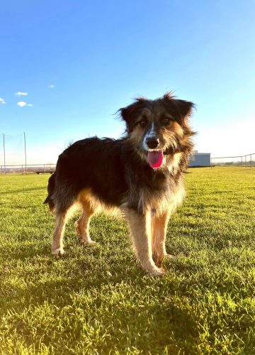 WhatsApp Image 2025-07-02 at 18.09.36