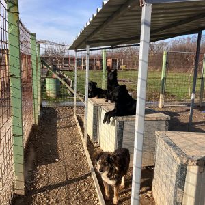 WhatsApp Image 2025-07-02 at 19.34.25 (4)