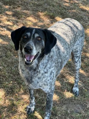 WhatsApp Image 2025-07-23 at 12.27.28