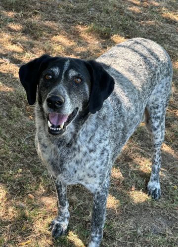 WhatsApp Image 2025-07-23 at 12.27.28