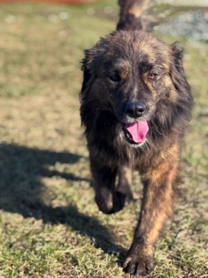 WhatsApp Image 2025-09-07 at 8.57.21 PM