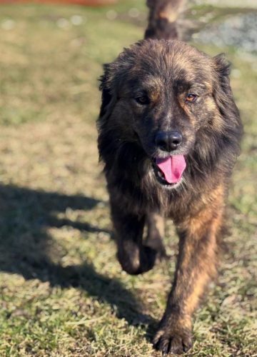 WhatsApp Image 2025-09-07 at 8.57.21 PM