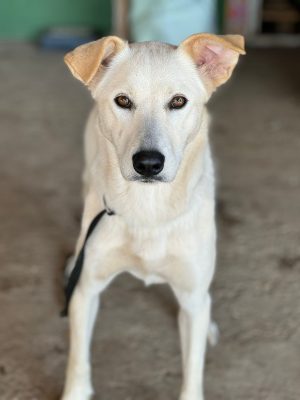 WhatsApp Image 2025-09-15 at 10.44.49 (1)