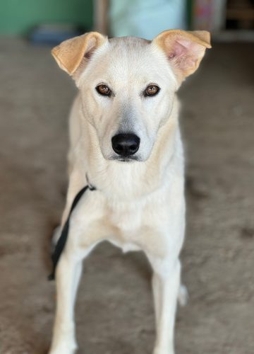 WhatsApp Image 2025-09-15 at 10.44.49 (1)