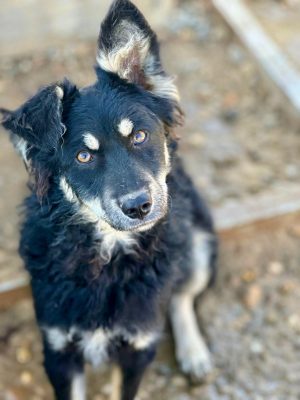 WhatsApp Image 2025-09-23 at 12.34.41