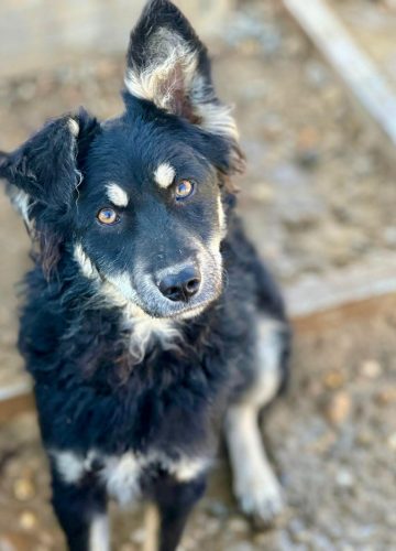 WhatsApp Image 2025-09-23 at 12.34.41