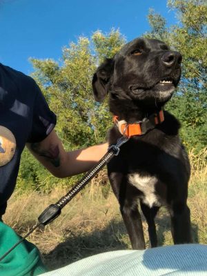 WhatsApp Image 2025-10-09 at 13.38.46