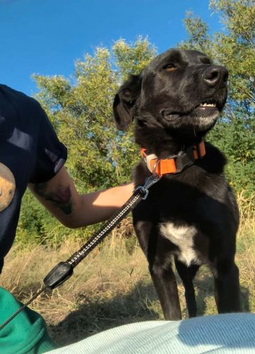 WhatsApp Image 2025-10-09 at 13.38.46