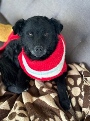 WhatsApp Image 2025-10-09 at 17.04.17