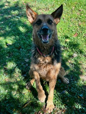 WhatsApp Image 2025-11-15 at 11.11.29 (1)