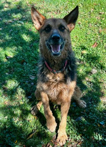 WhatsApp Image 2025-11-15 at 11.11.29 (1)