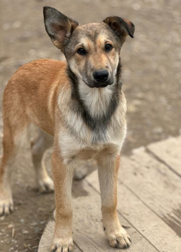 WhatsApp Image 2025-11-19 at 11.31.53