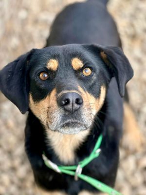 WhatsApp-Image-2025-12-08-at-20.31.55