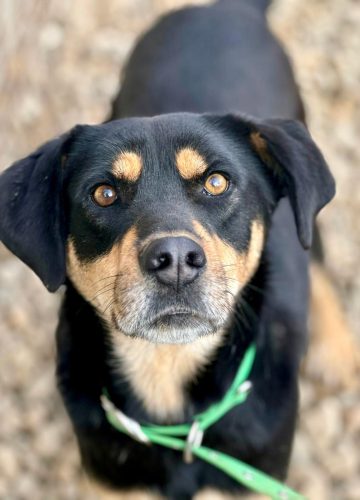 WhatsApp-Image-2025-12-08-at-20.31.55