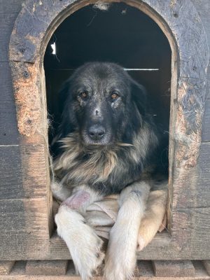 WhatsApp Image 2026-01-02 at 18.42.51