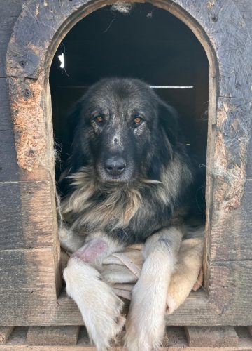 WhatsApp Image 2026-01-02 at 18.42.51