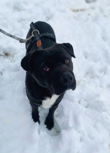 WhatsApp Image 2026-01-12 at 19.06.41 (1)