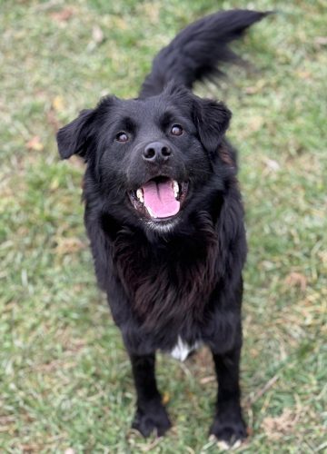 WhatsApp Image 2026-01-12 at 20.02.18